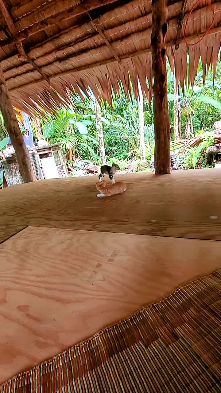 @01lino01