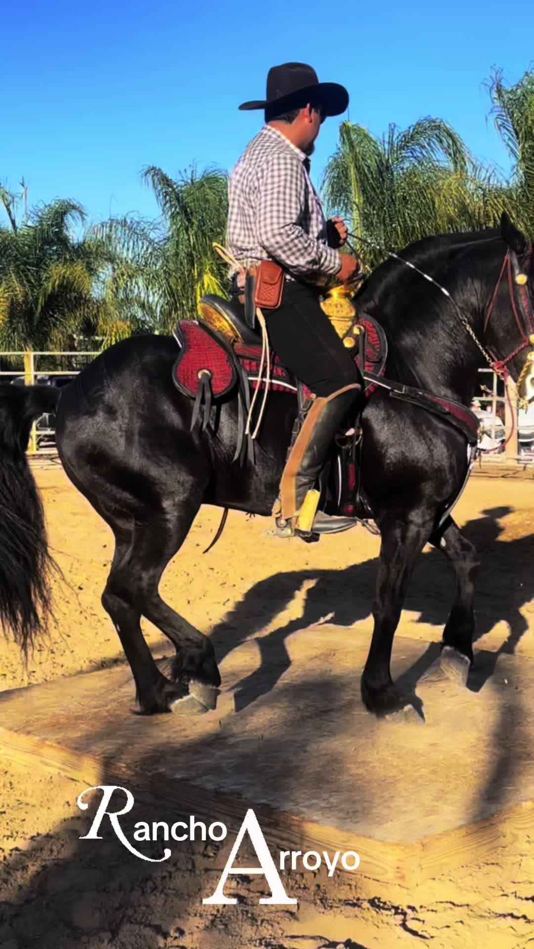 @Rancho Arroyo Charros