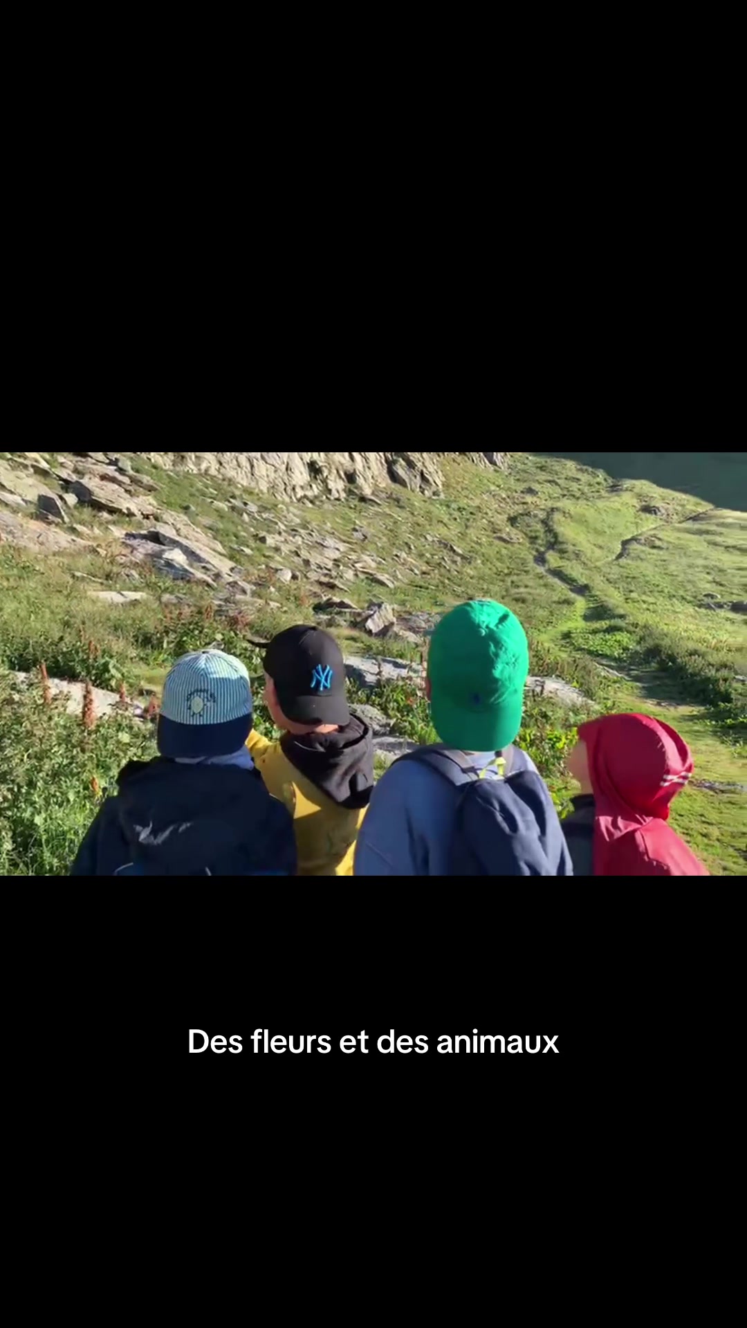 @Chalet des For&ecirc;ts