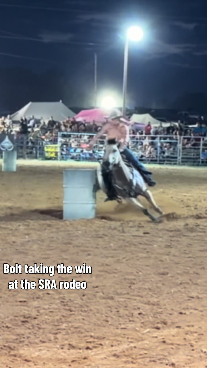 @KY Performance Horses