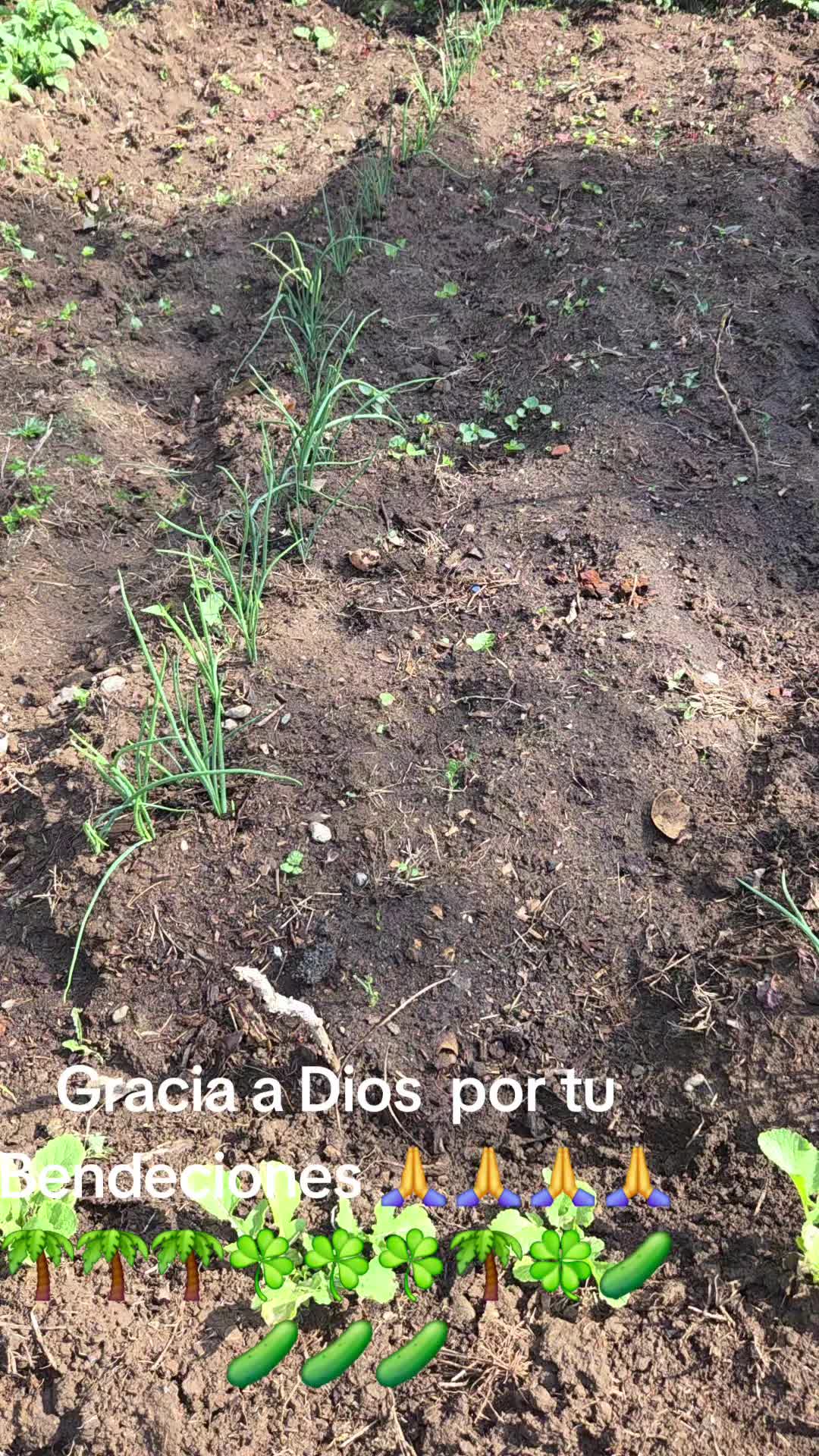 @Paulina Granda