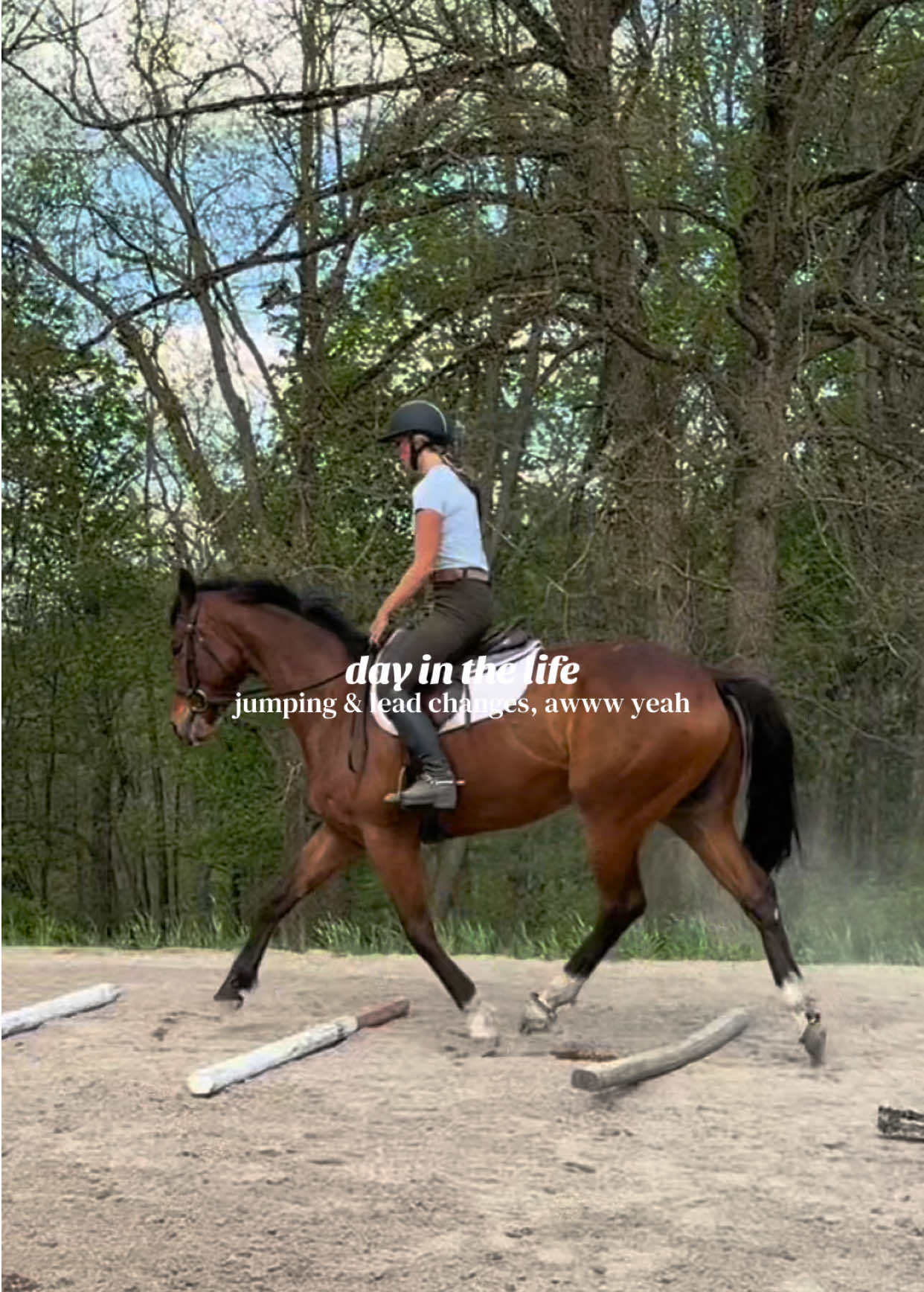 @Lunar Hill Equestrian