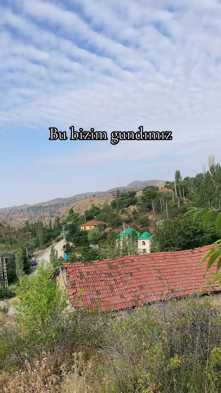 @sezgin uysal