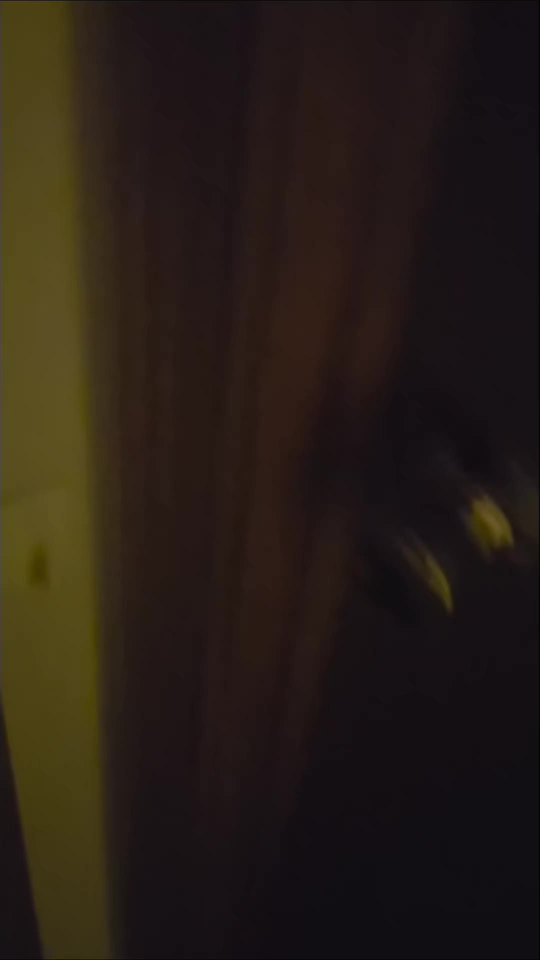 @theonlyjj8