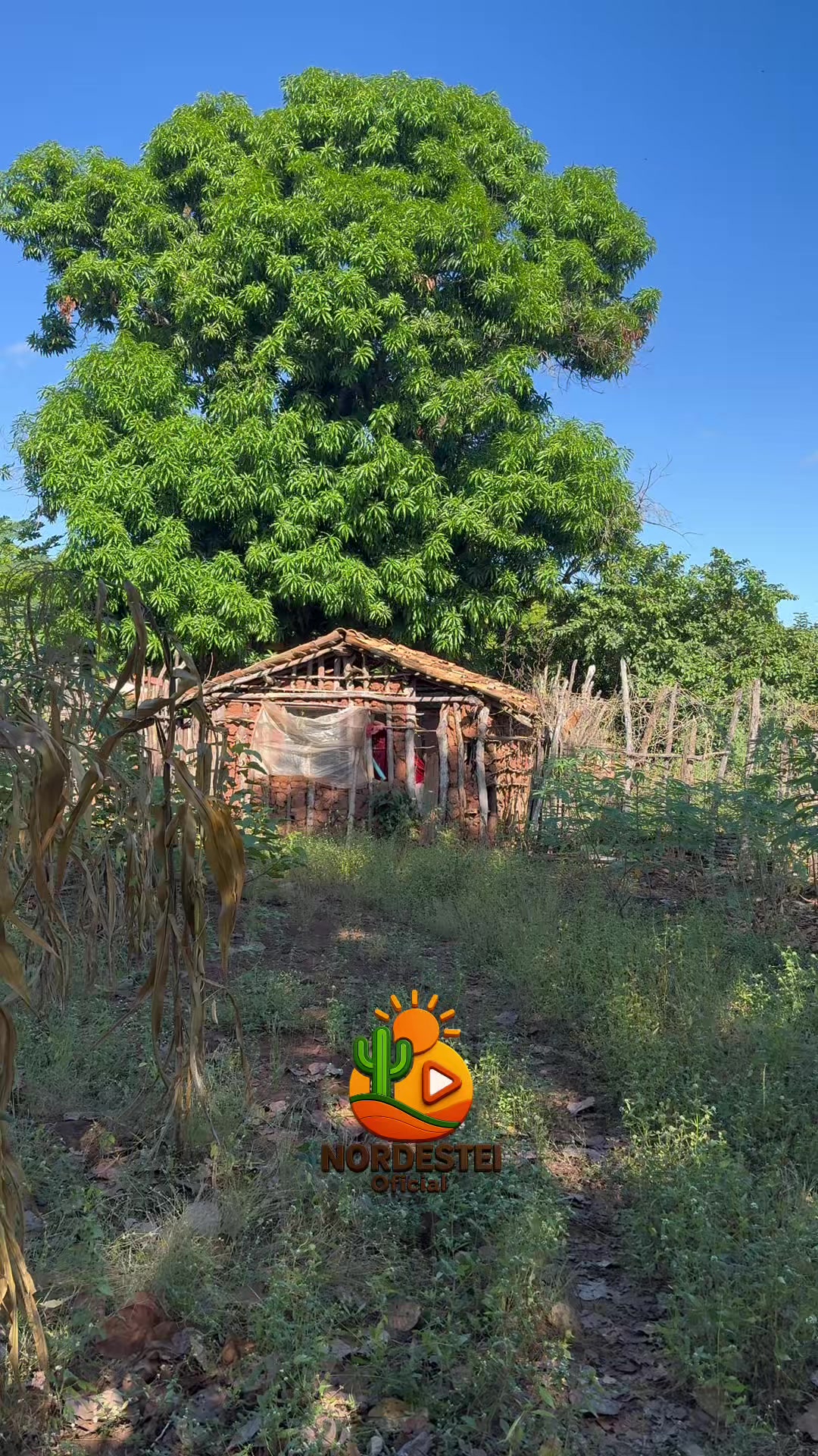 @nordesteioficial