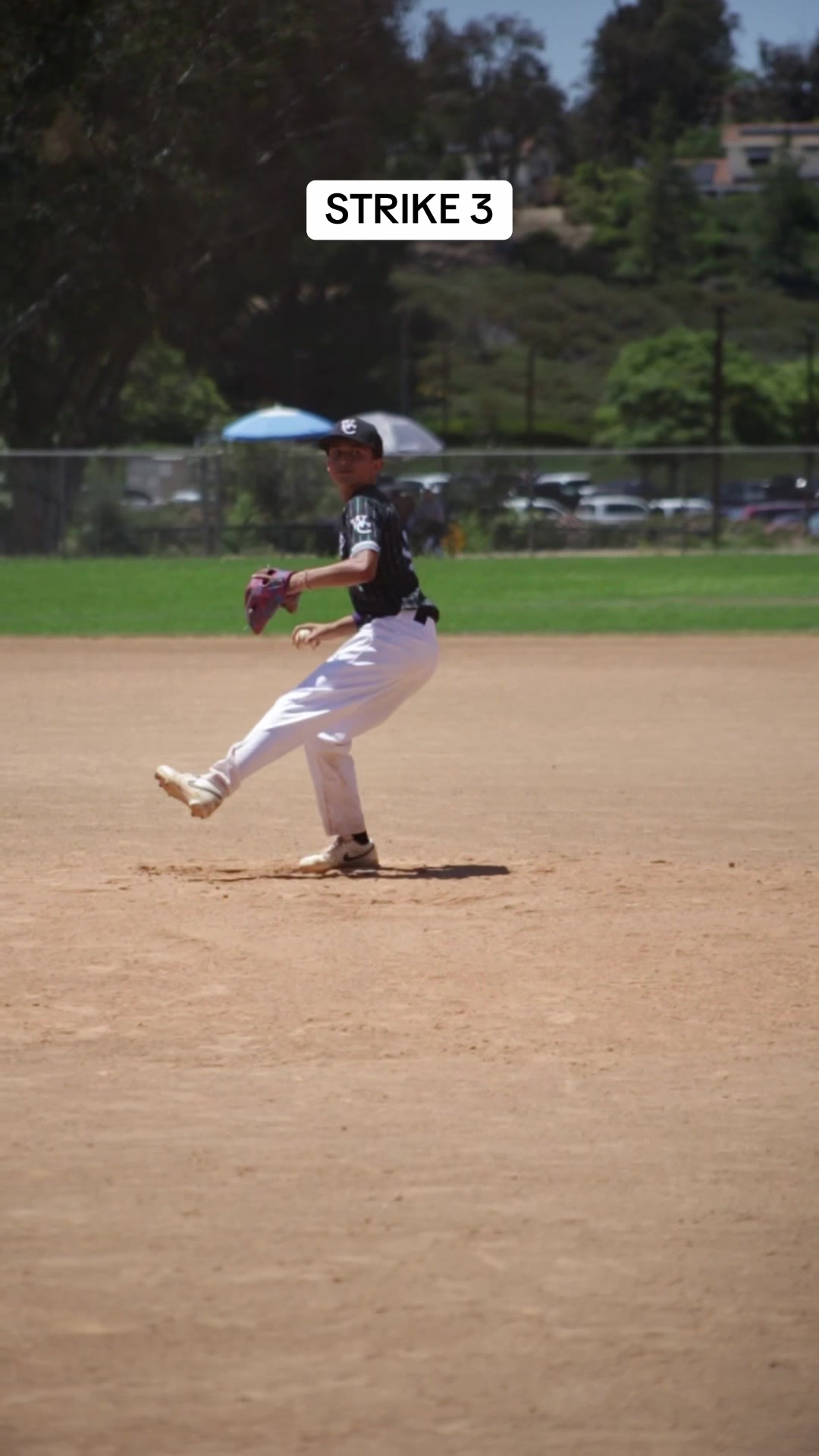 @wcblackdogs.ie