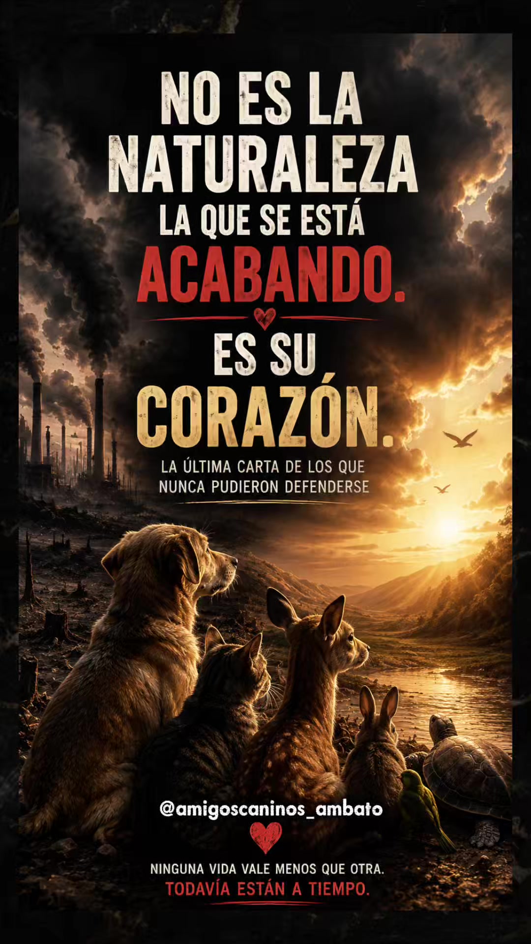 @Amigoscaninos_Ambato