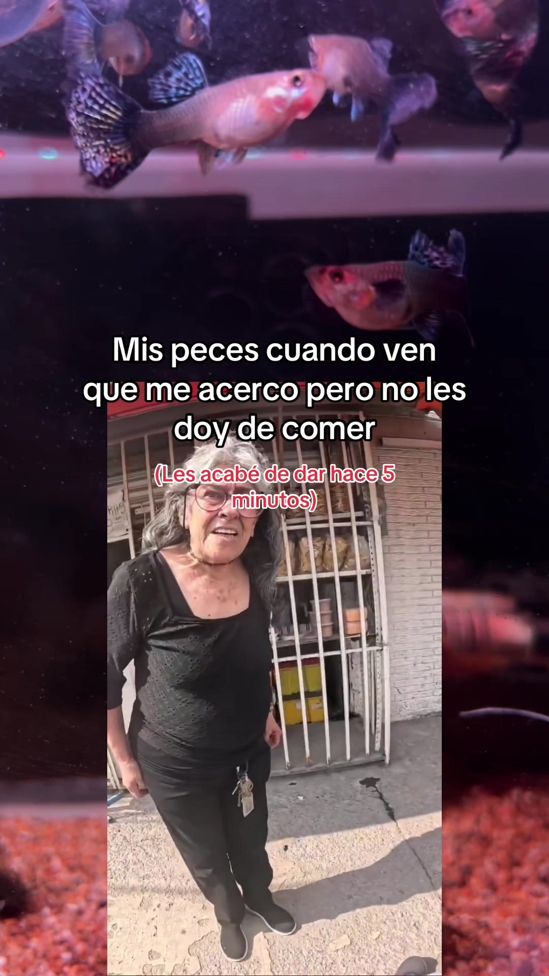 @César Suazo | Ixhuayork