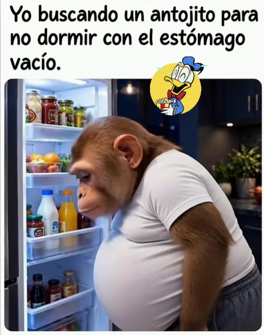 @el panda solitario