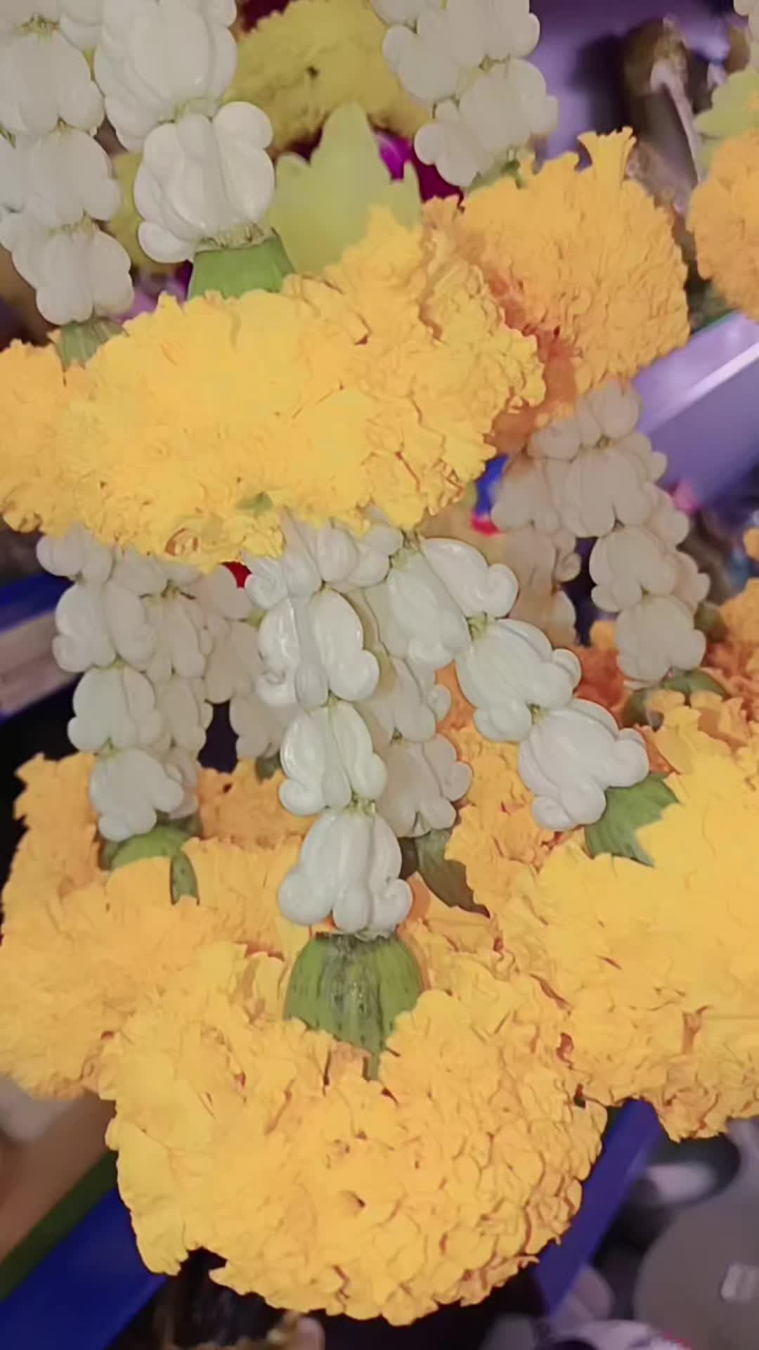 @🐻🌹V🌻💛SHA🤍🌻T🌹🐼