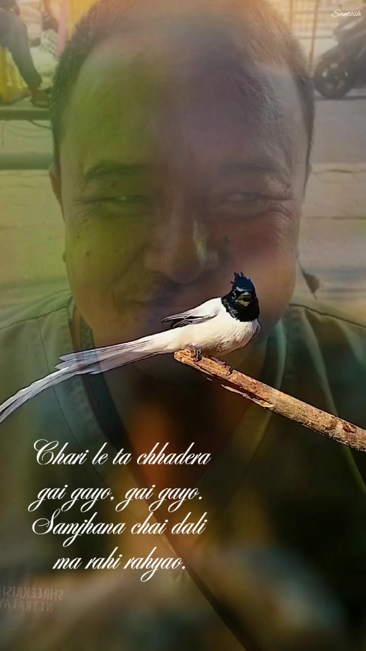 @solahu Gupta
