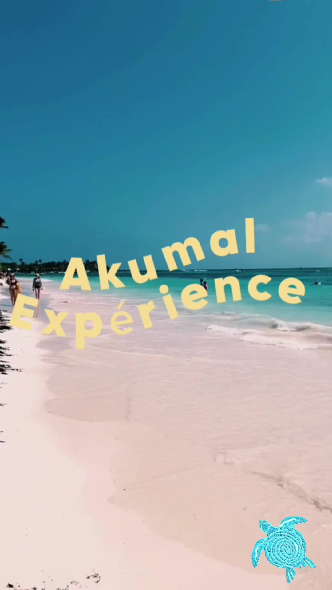 @xamanexperience