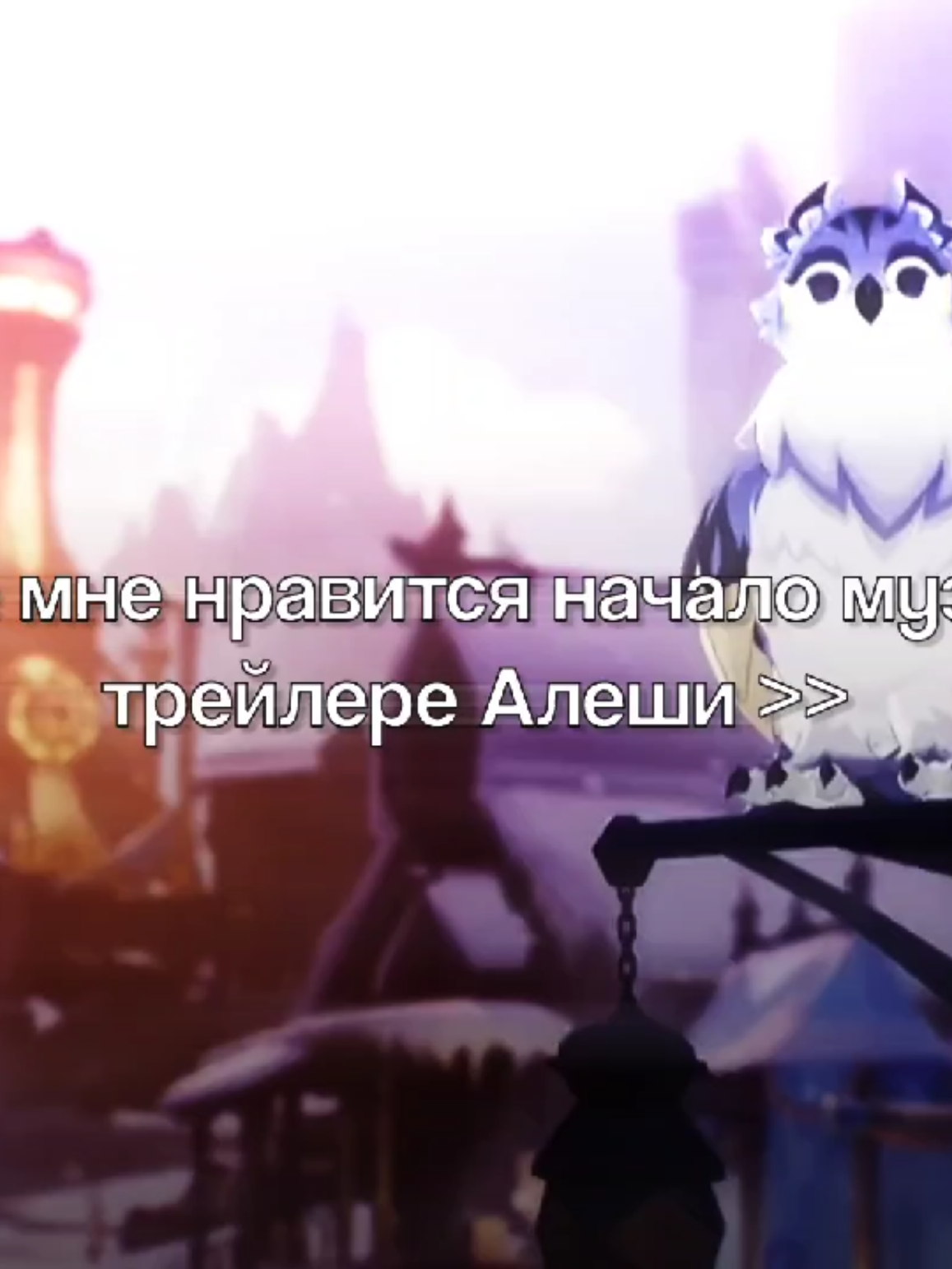 @кот