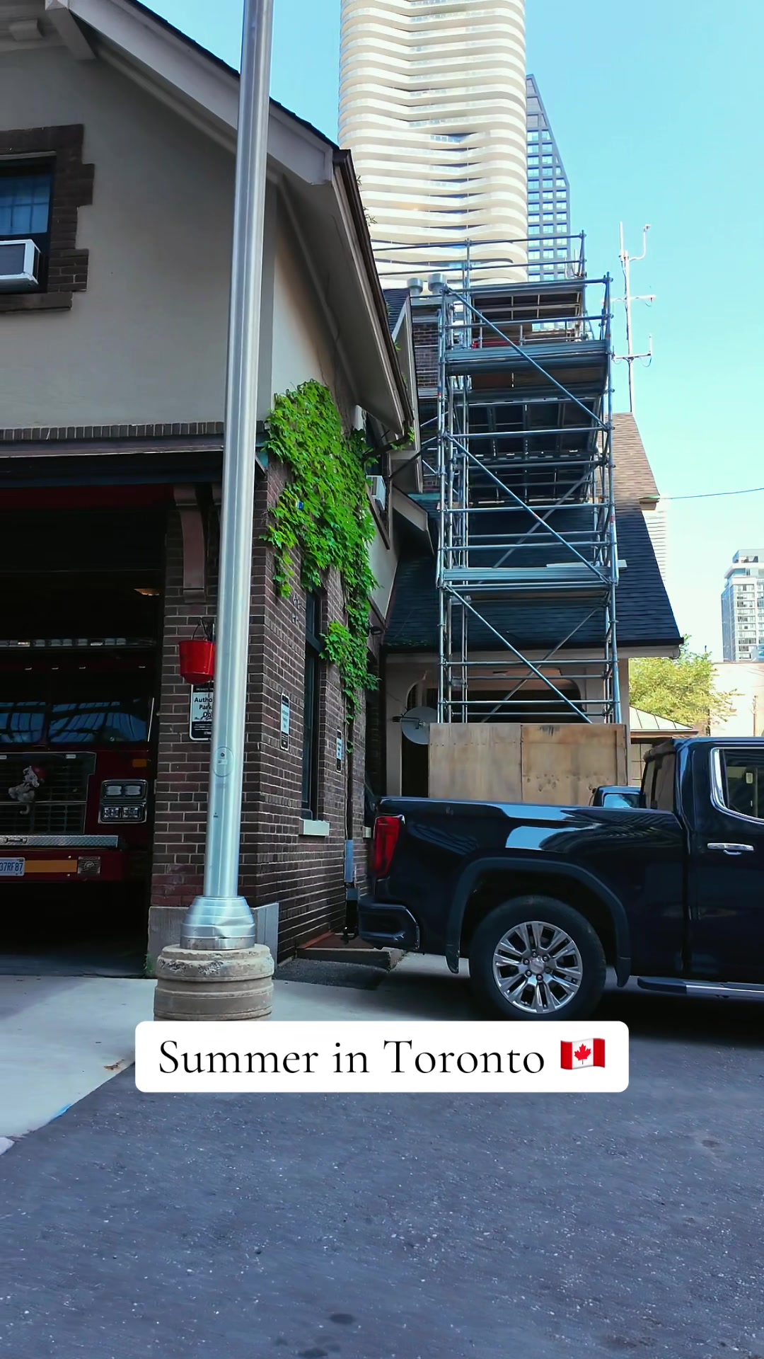 @Toronto Vibe🇨🇦