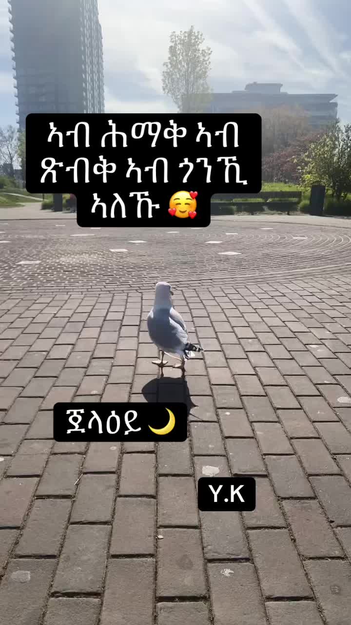 @EritreanStyle 🔥