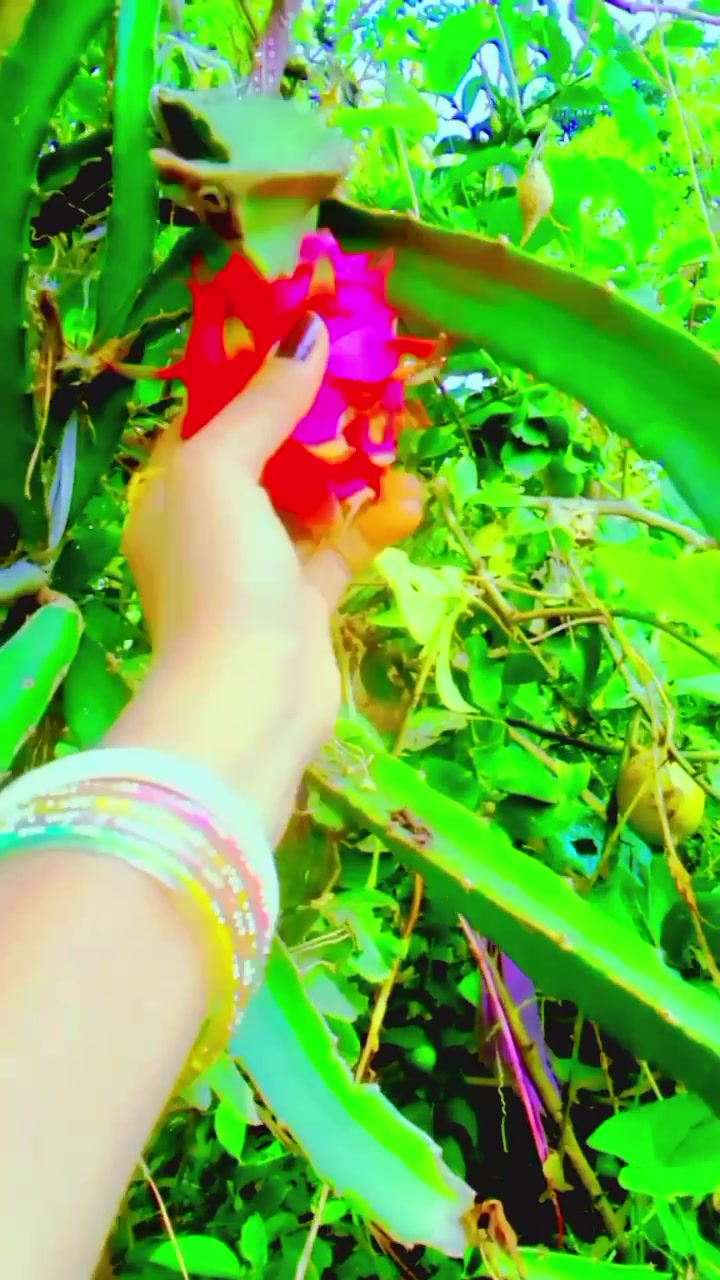 @priyam babu