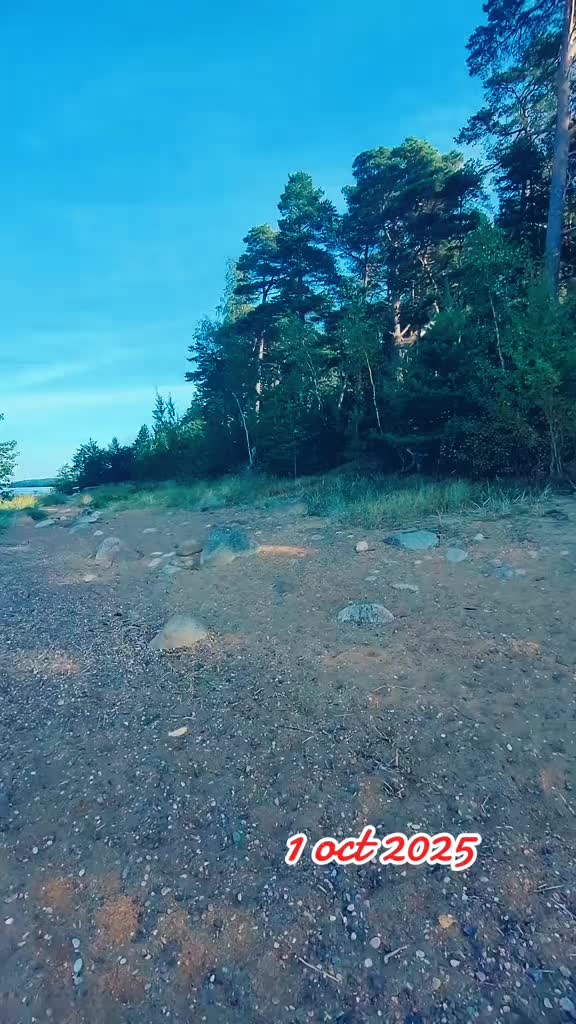 @ТILZIT 88-90