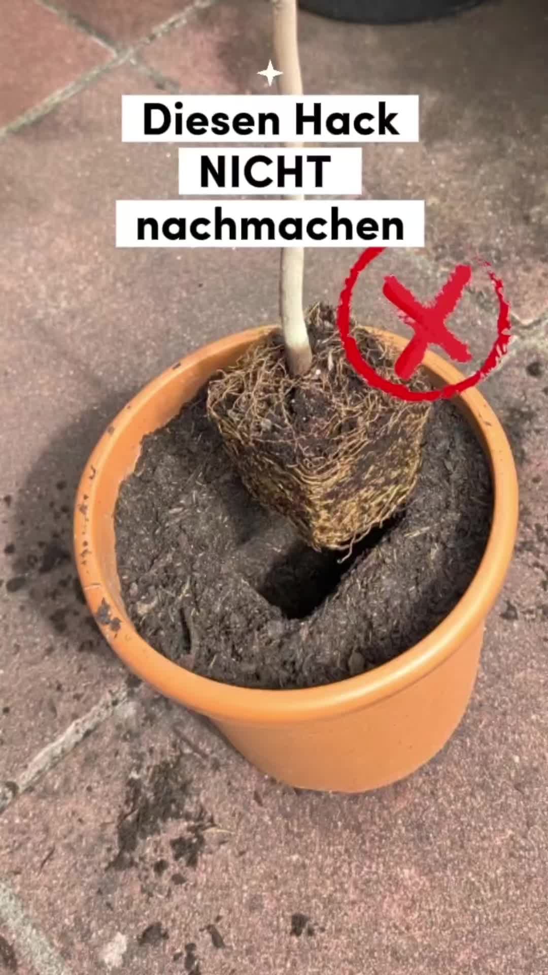 @ErnteExperte