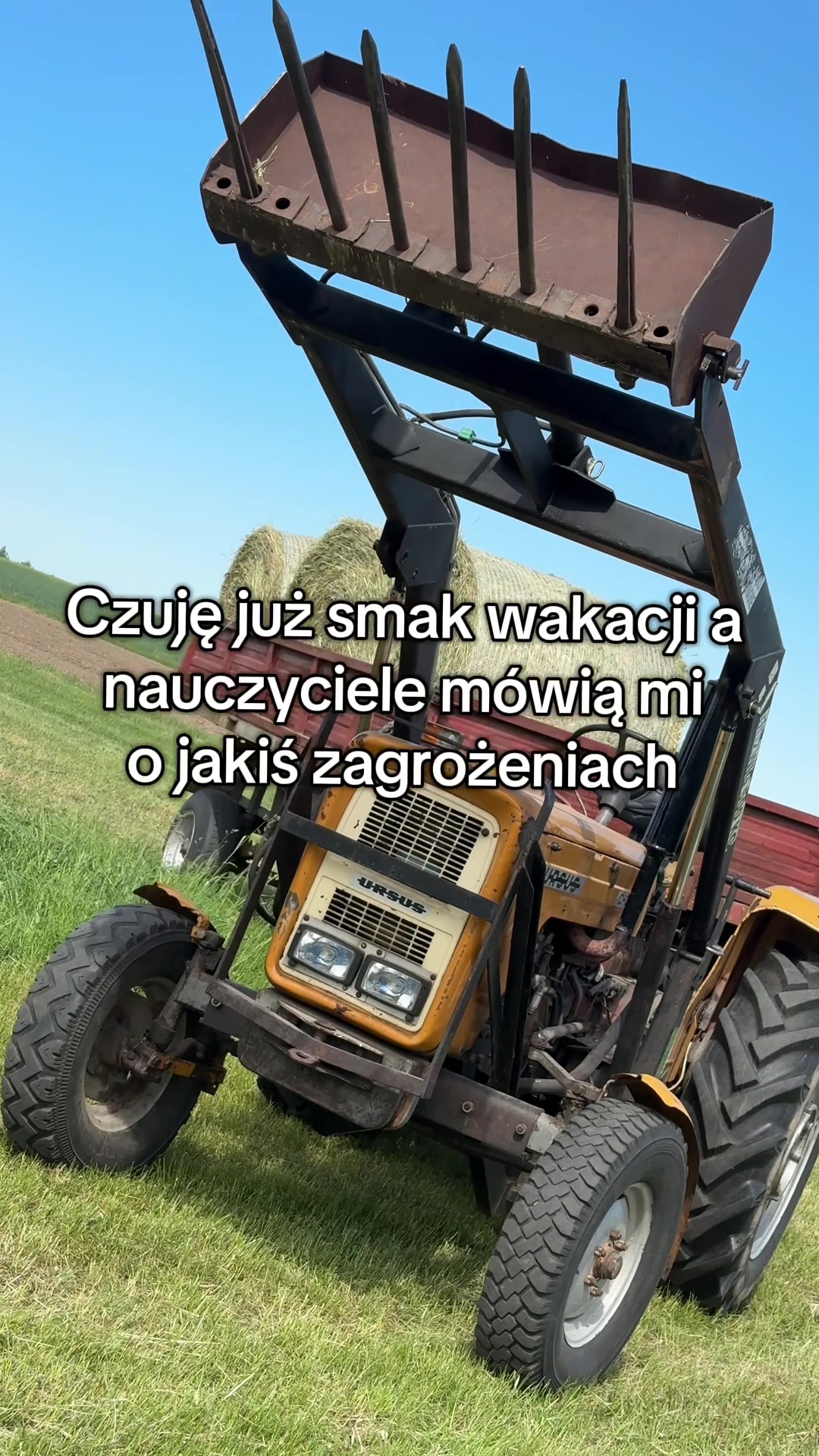 @Krzysiuu ツ