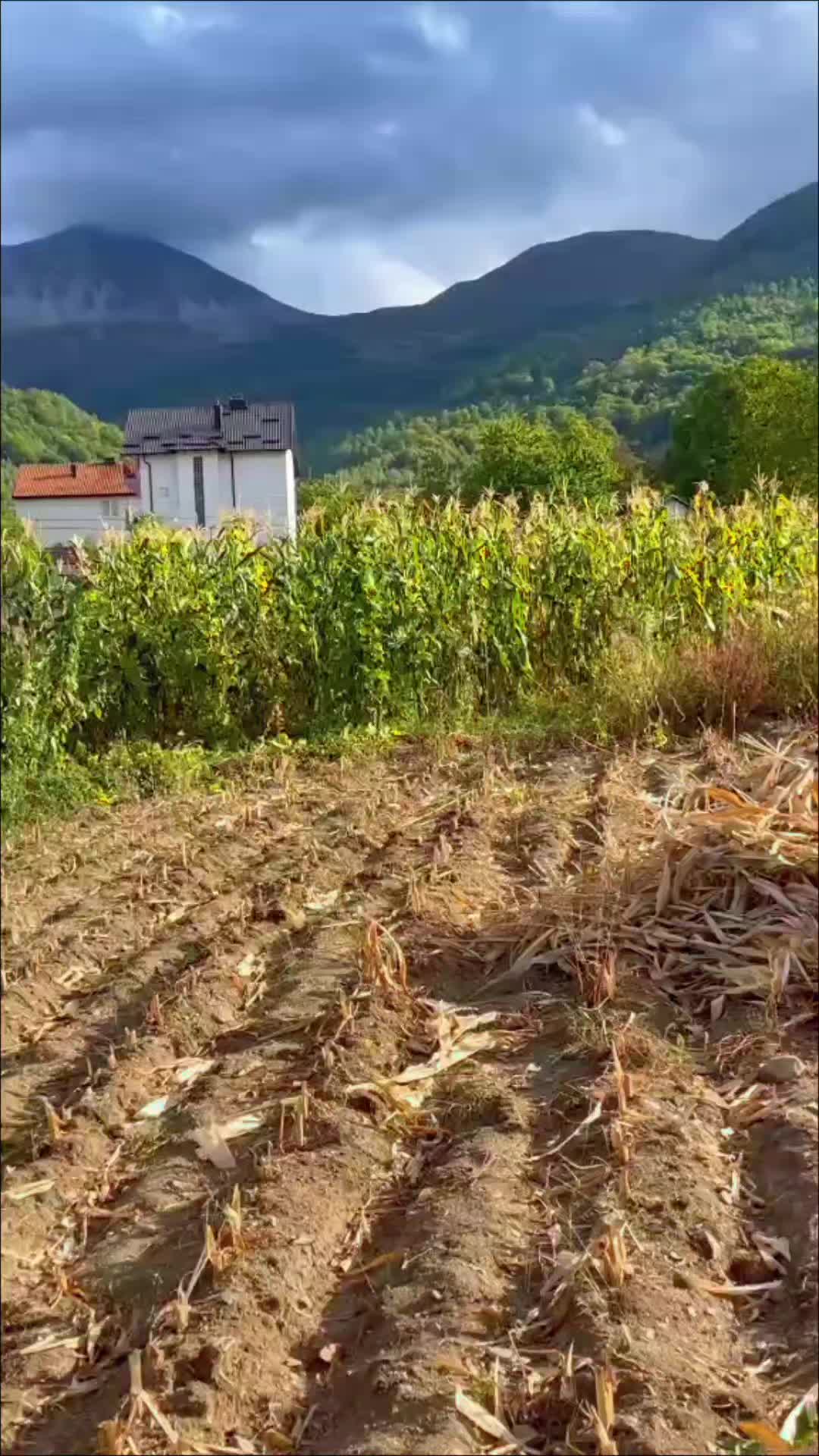 @Minir Sadiku Firajës