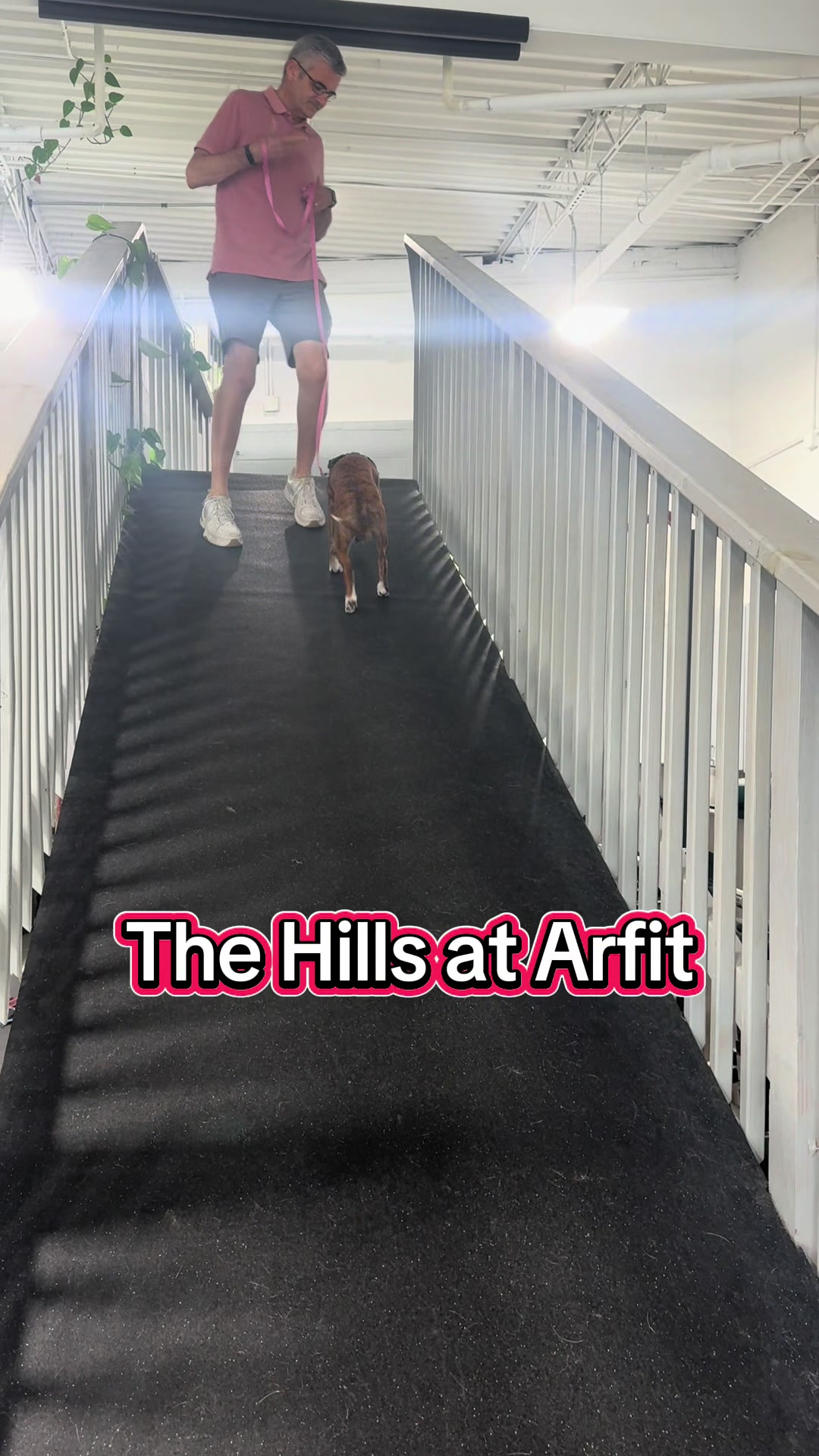 @ArfitDogRehabFitness