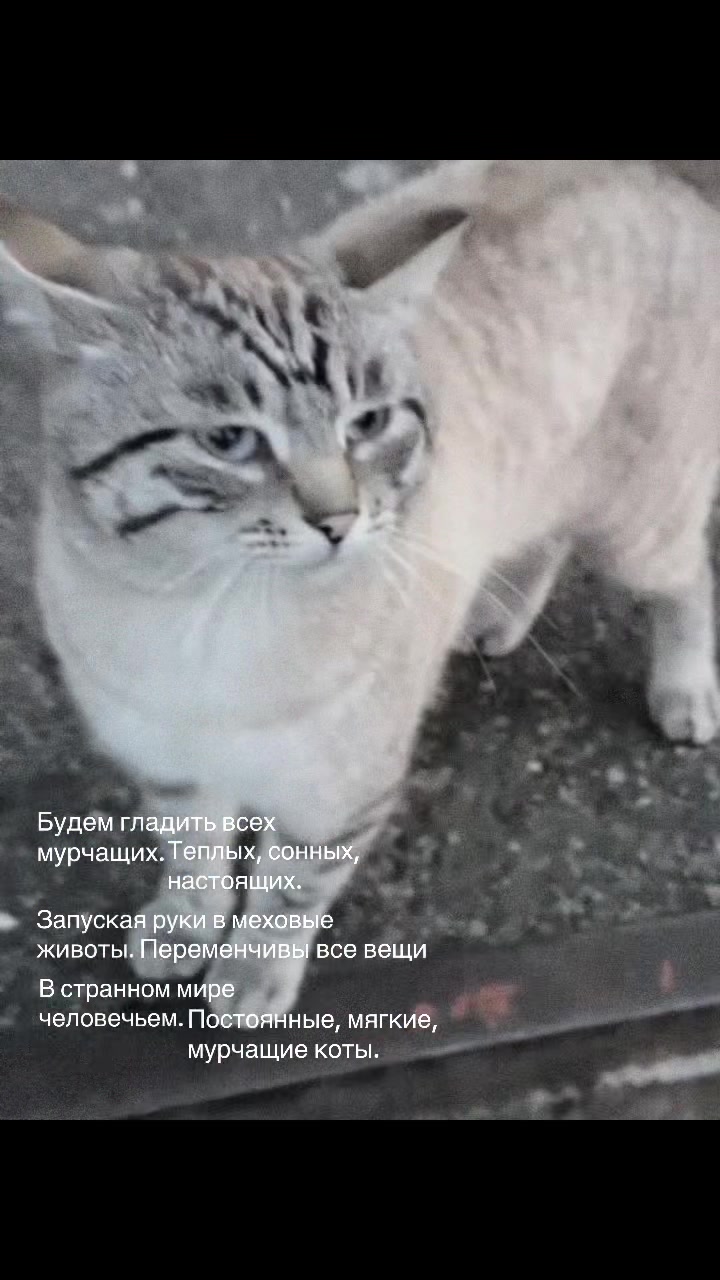 @陽光充足的