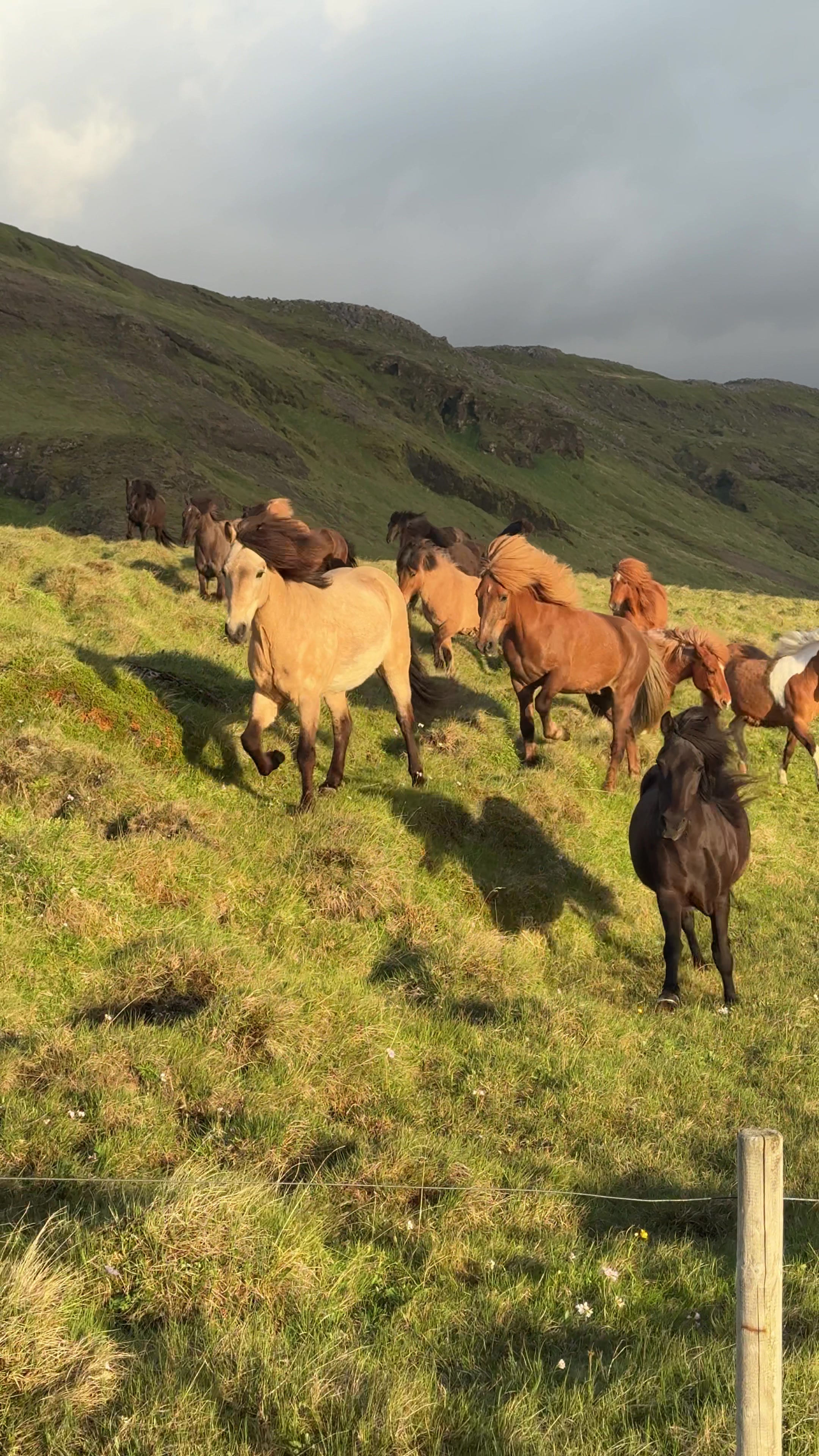 @iceland_lovers