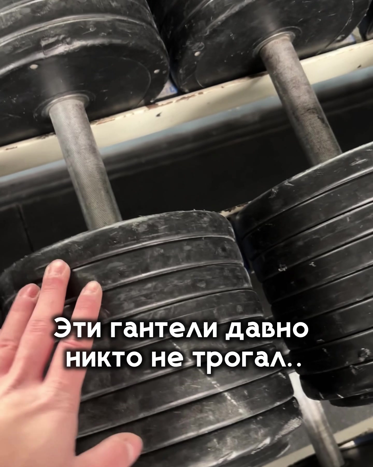@Тгк: Димас Бицепс
