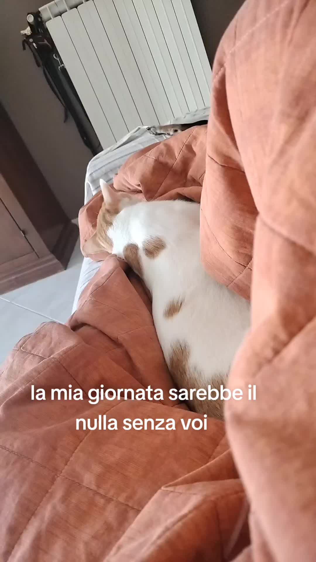 @Maria Borghese