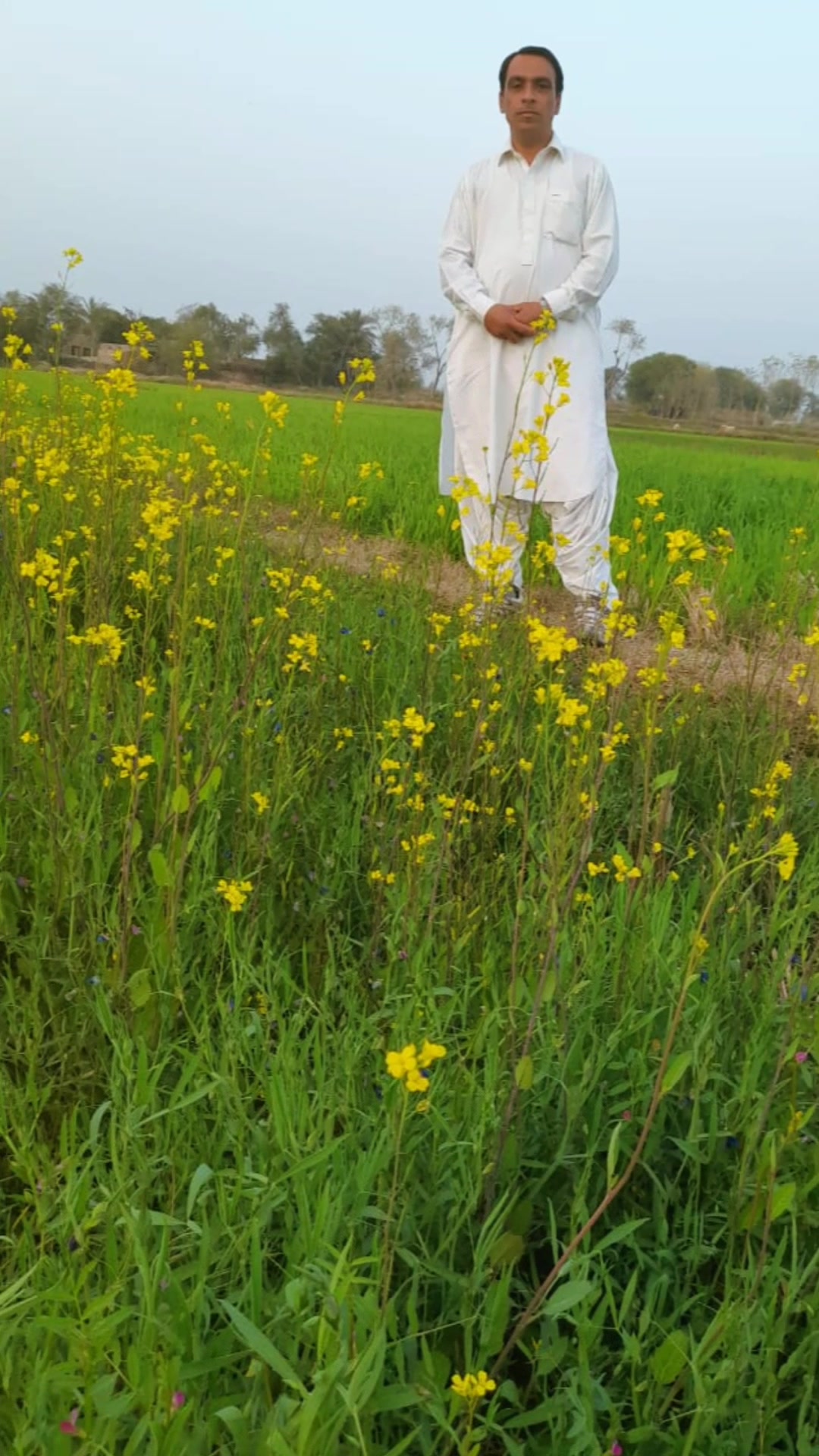@user8379974673085