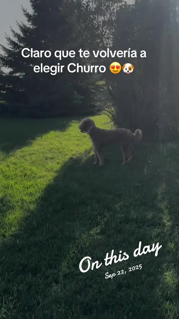 @Reyna y Churro 🐶😍