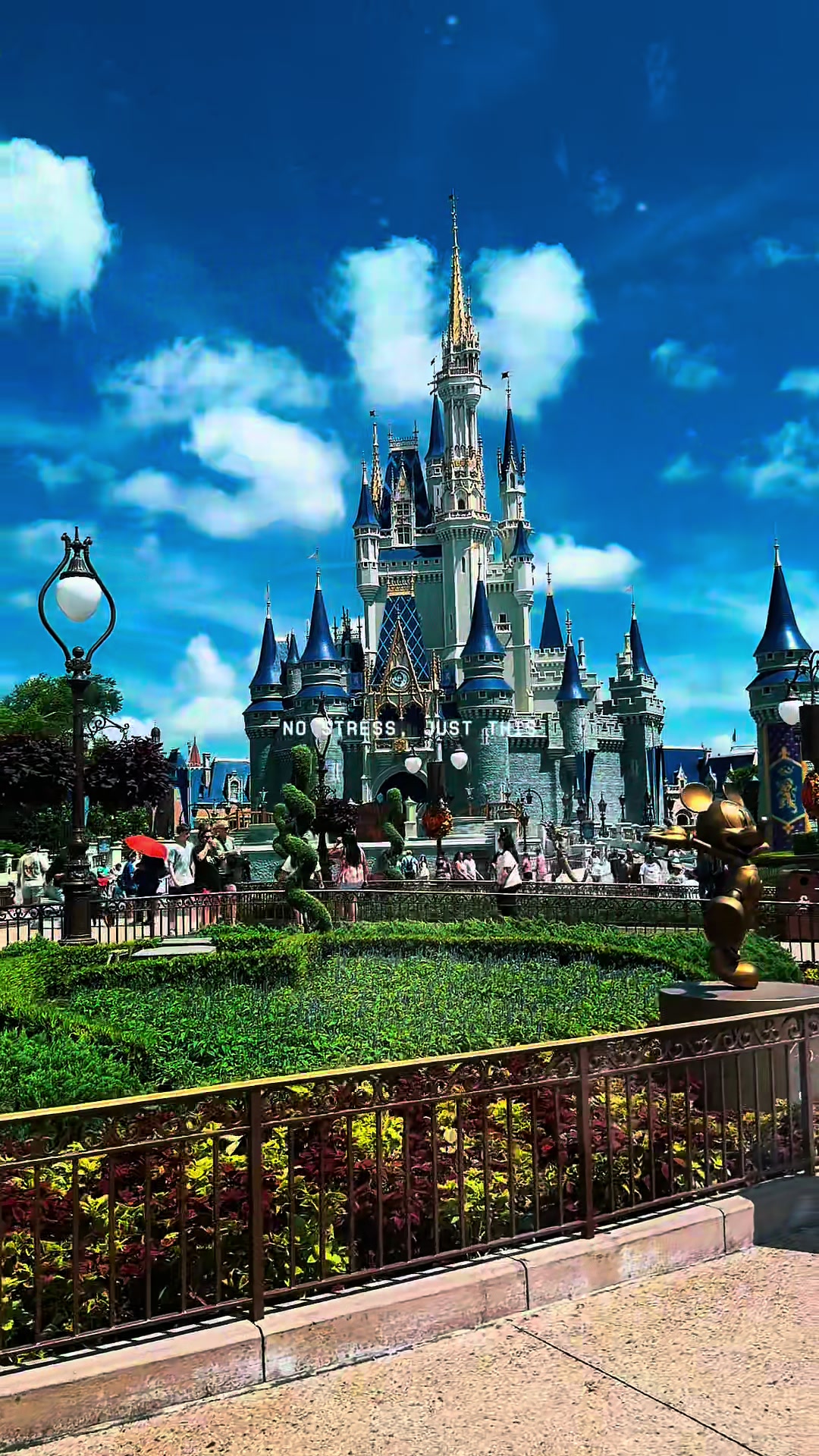 @Haley Ragsdale- Travel Agent