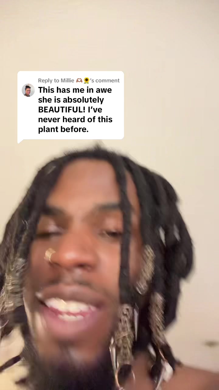 @Plant daddy Sir