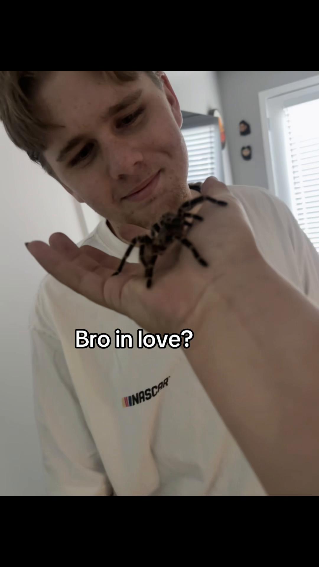 @annathehotdogga