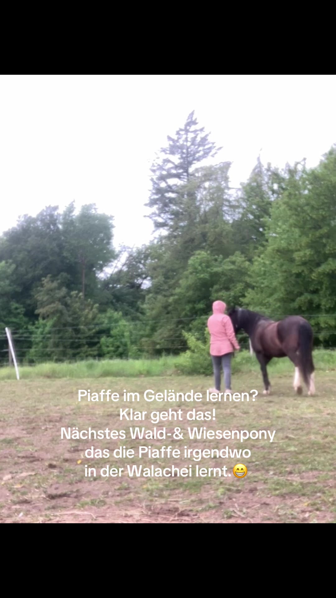 @Good Way Horses
