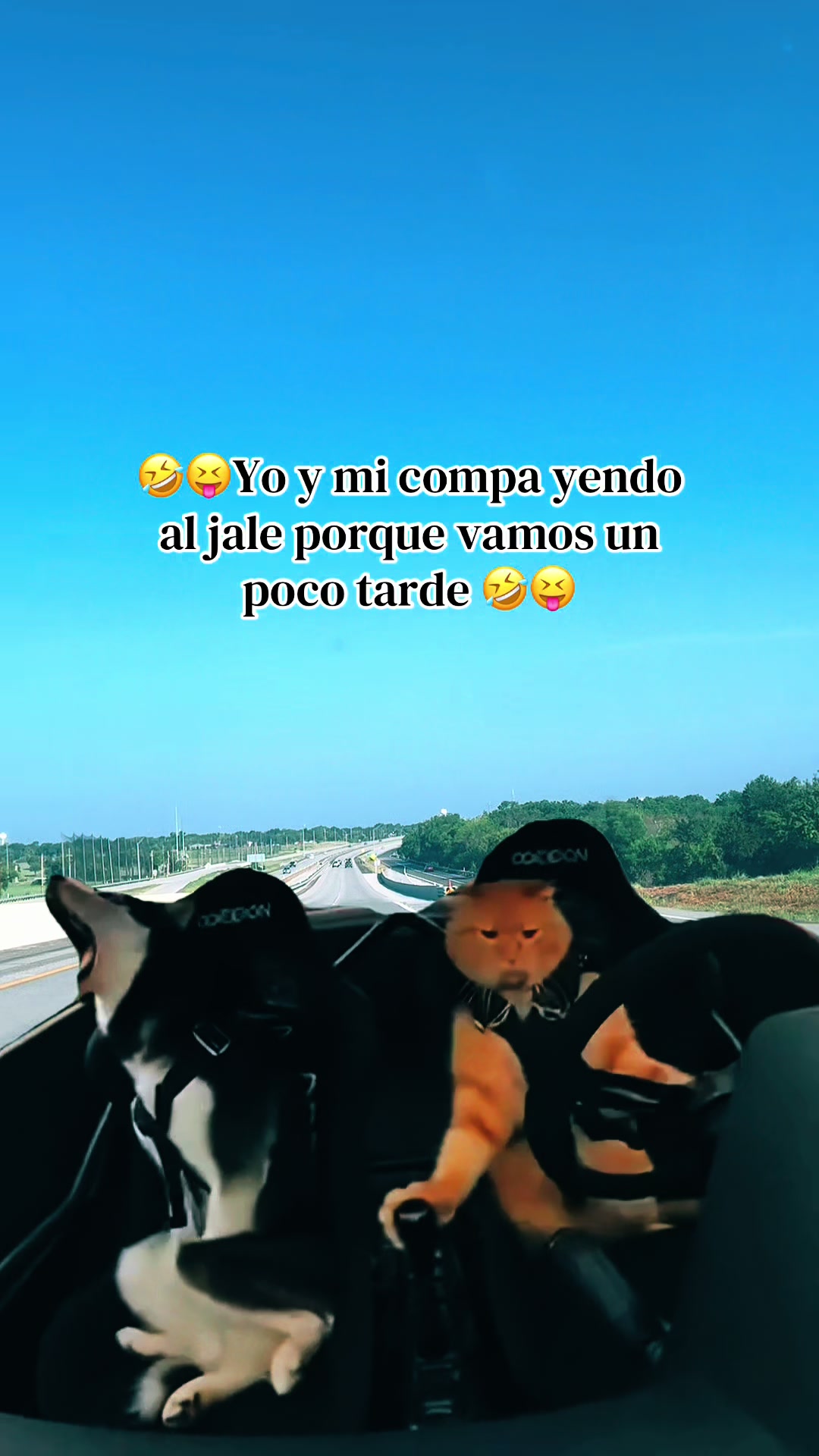 @cobanero de corazón 💟