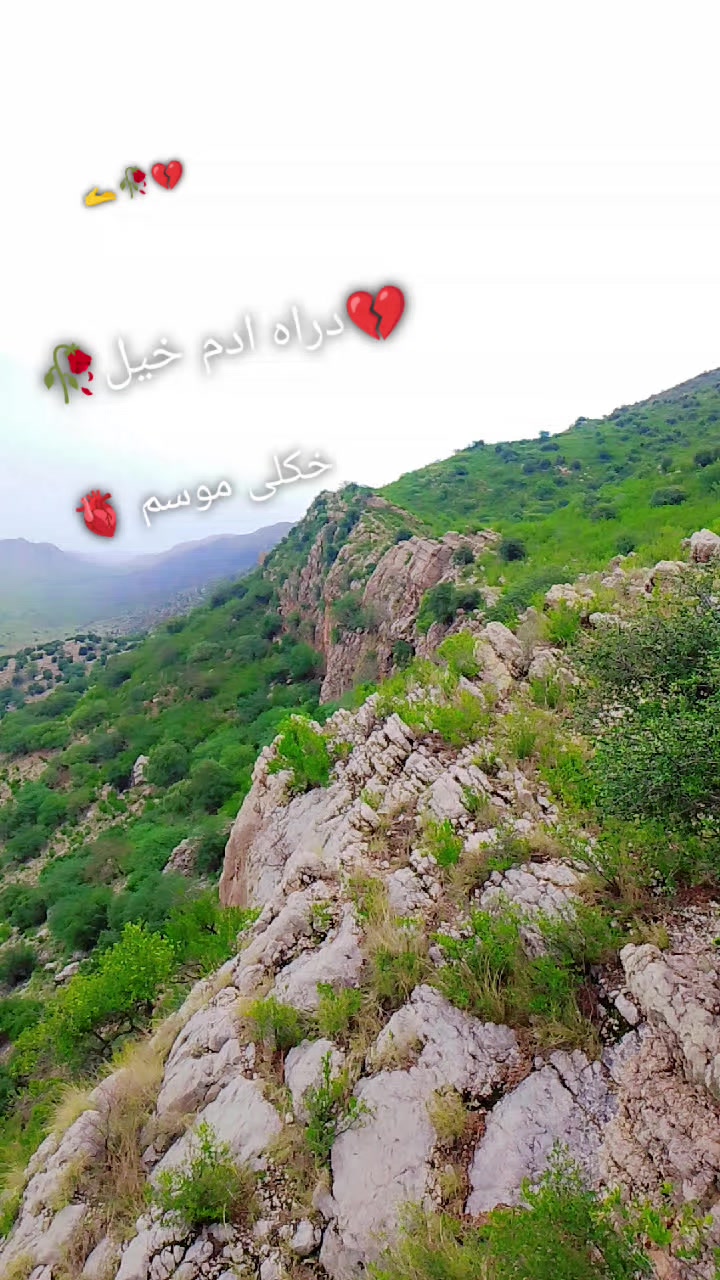 @Faizan _khan 368