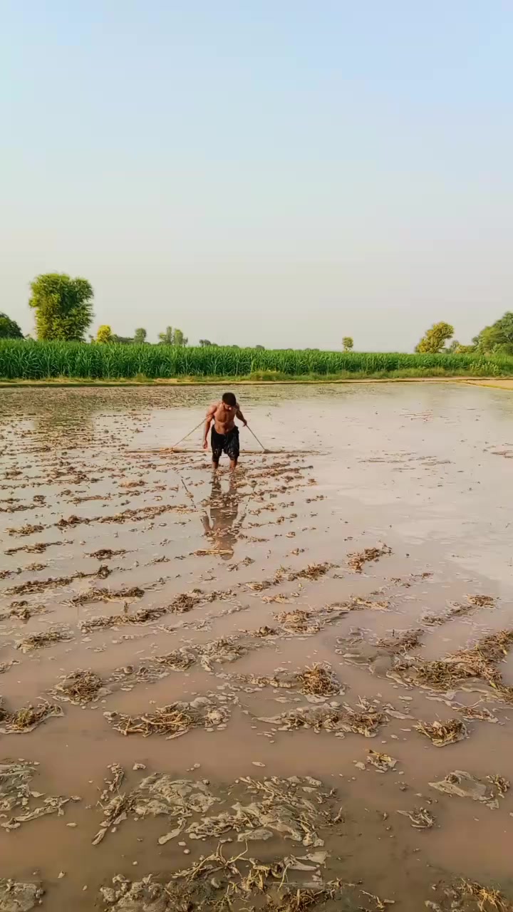@Sardar RAIS Farhan Burrah