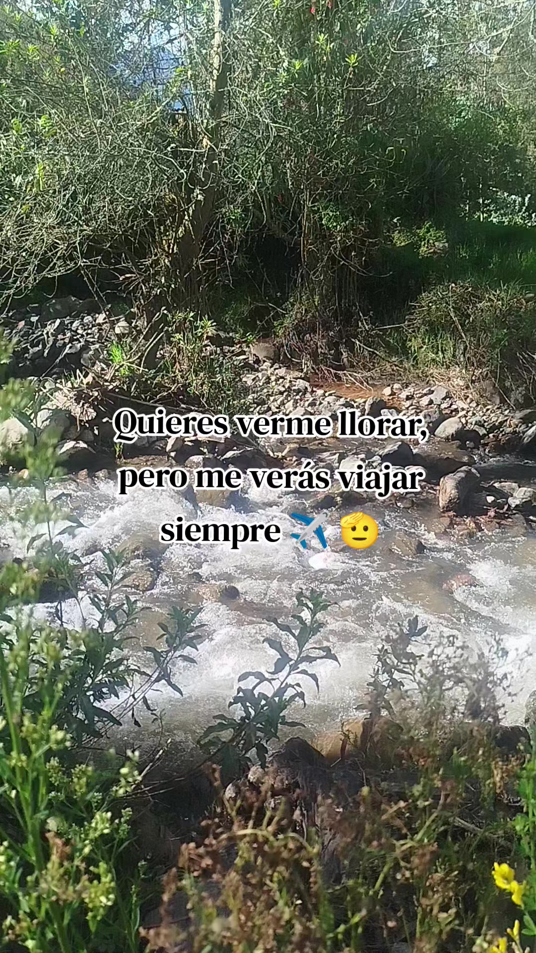 @👑Mi Yajhita🍀