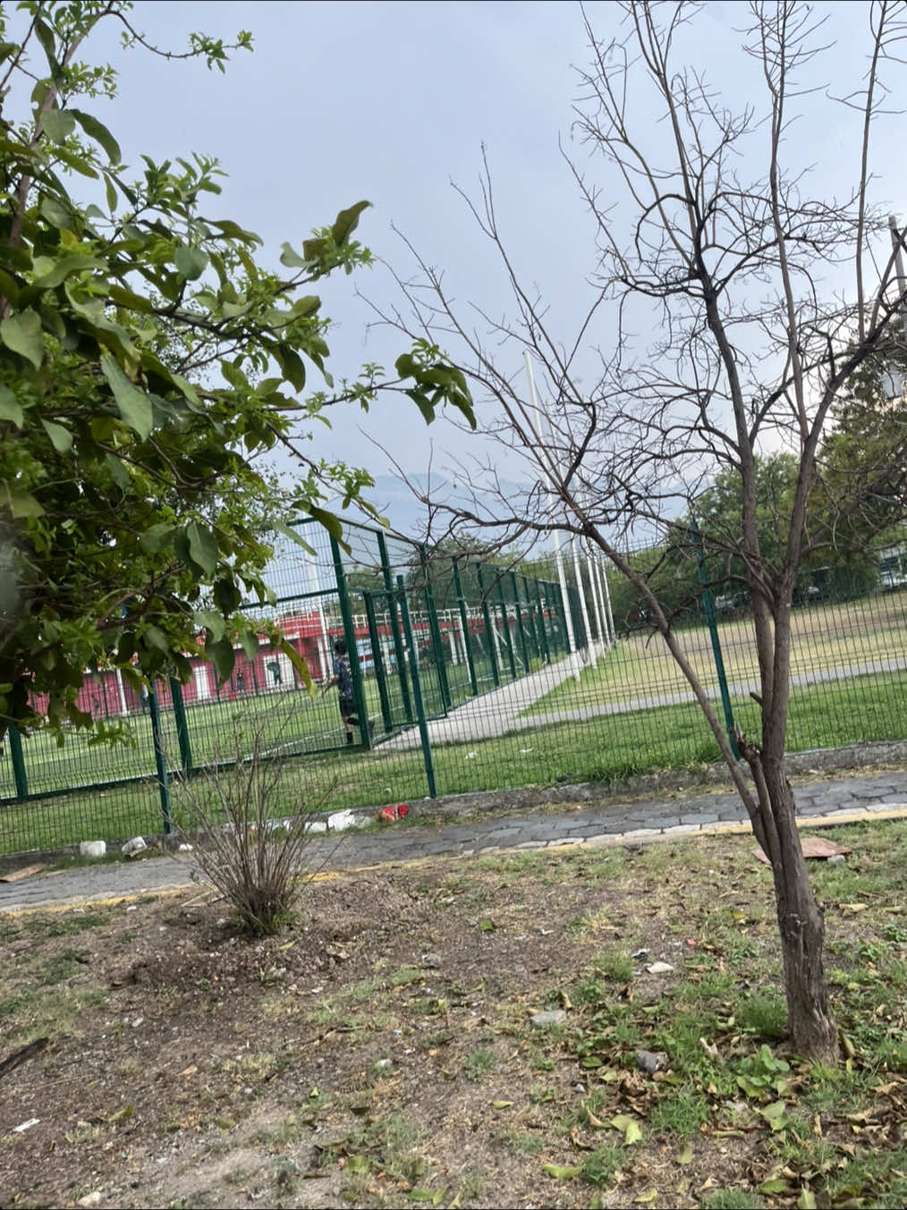 @Ayliin_castillo💞