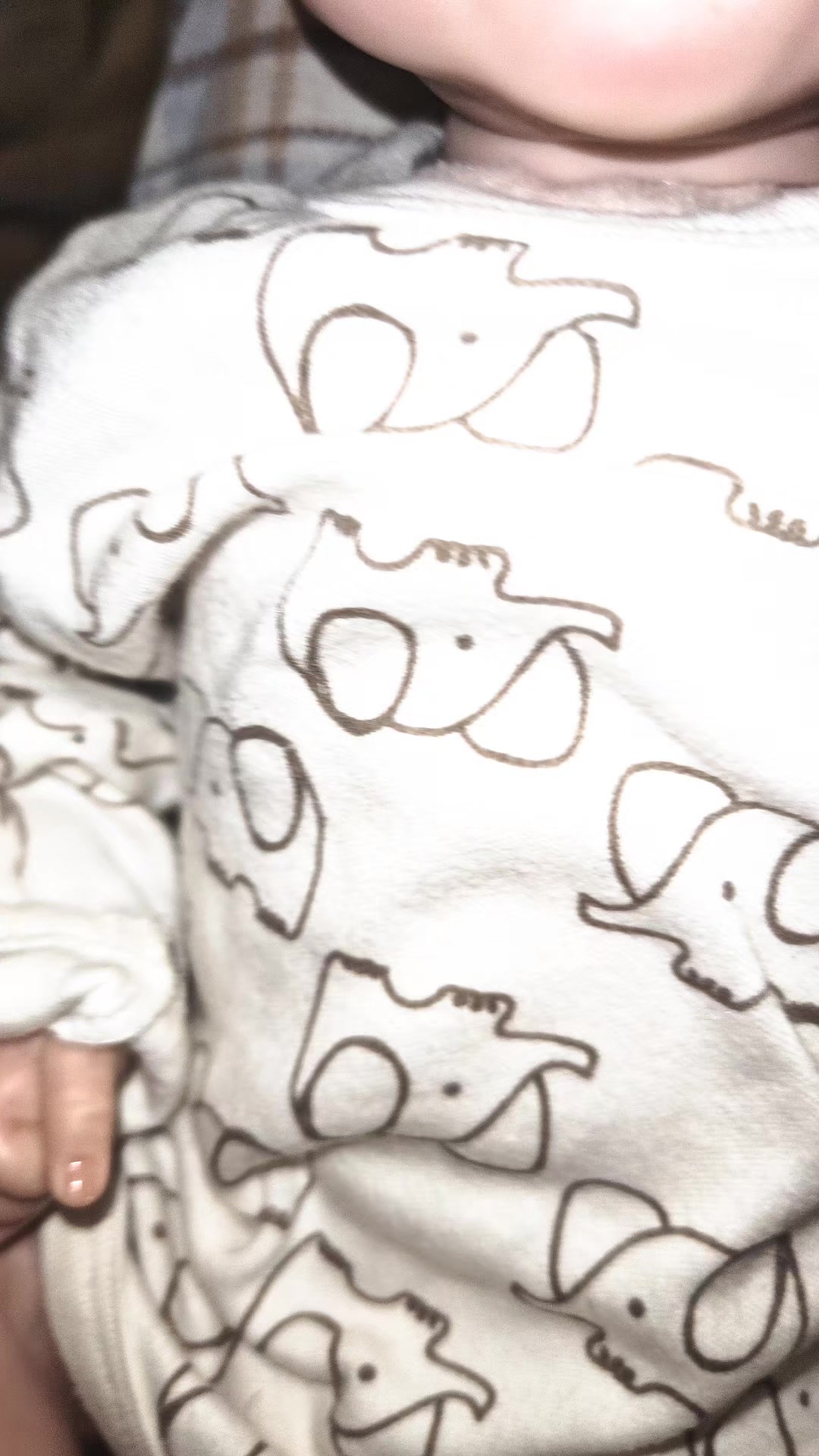@🐝𝕊𝕒𝕧.𝕒._𝕣𝕖𝕓𝕠𝕣𝕟.𝕤🦕