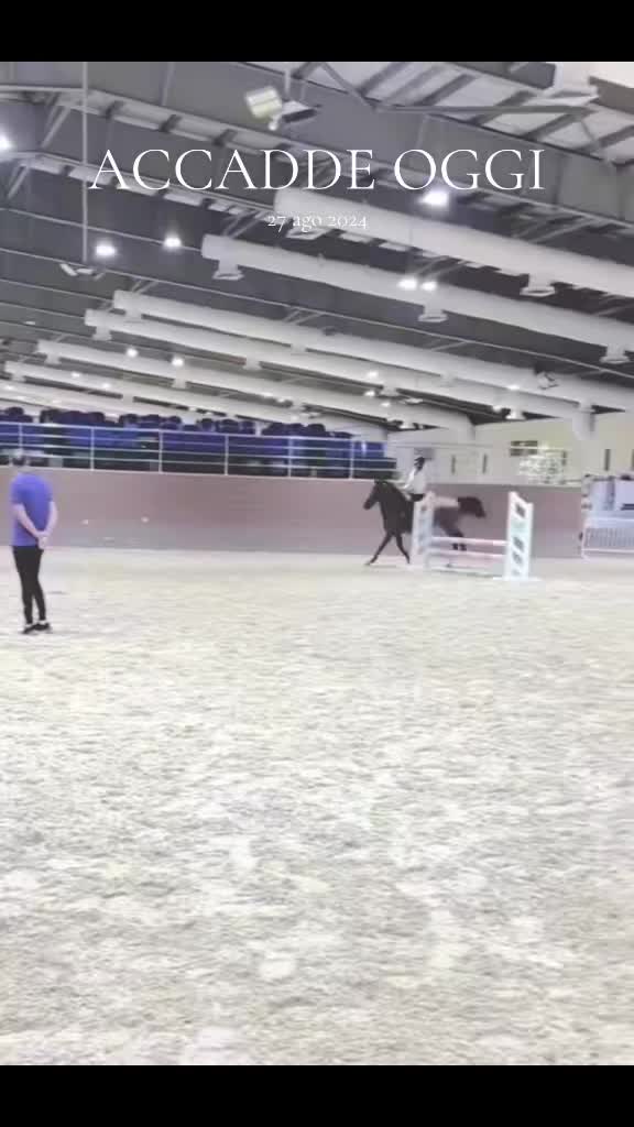 @Desy🐴