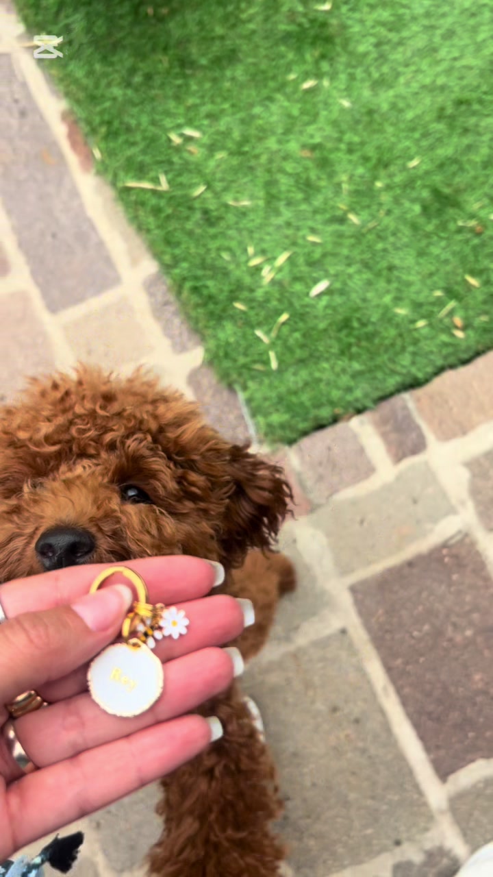 @Chiara e Rey 🐶🤎