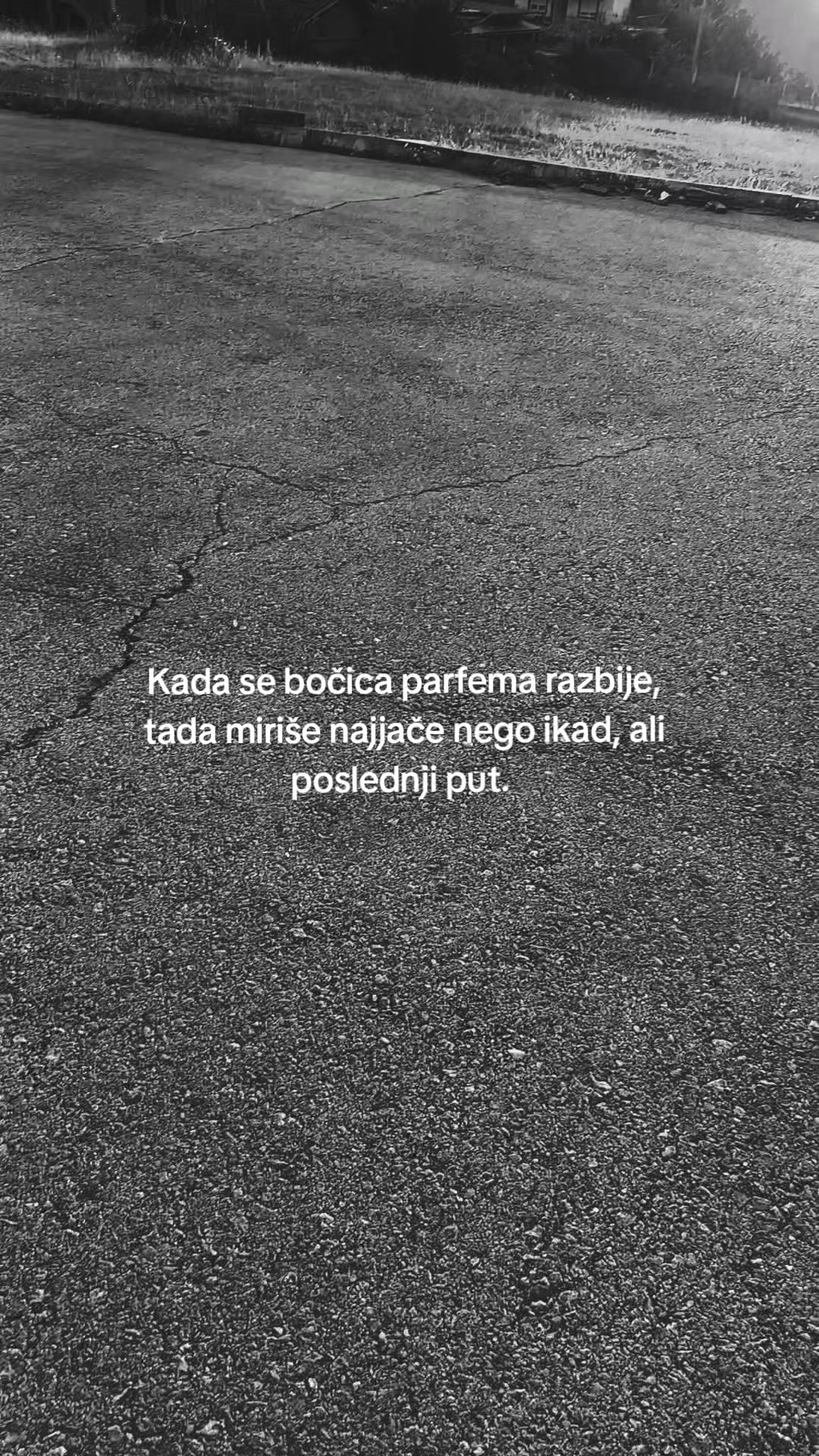 @Todorovic