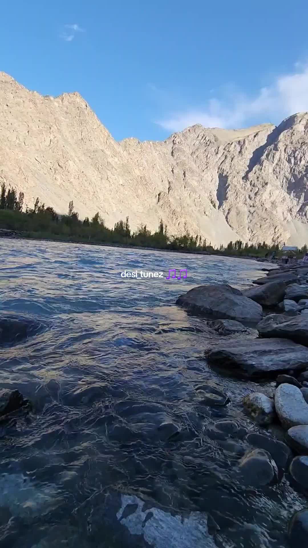 @desi_tunez🎵🎵