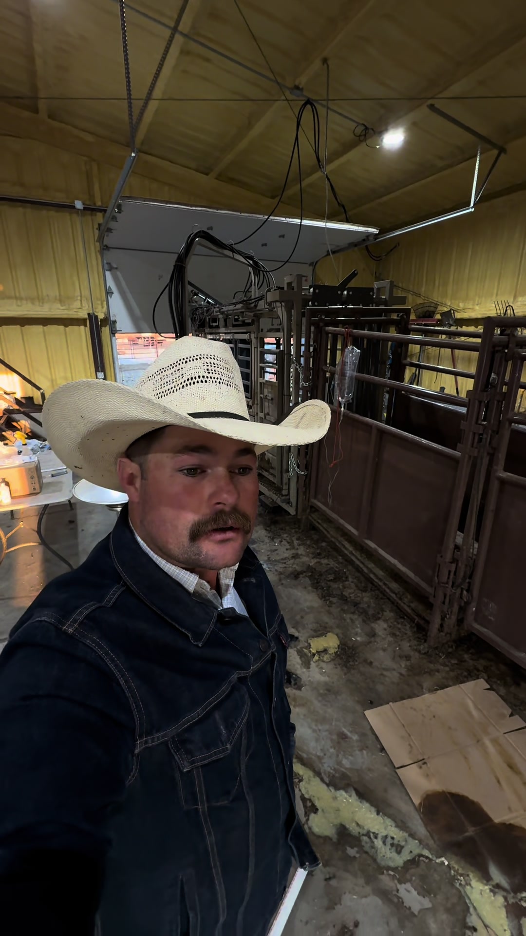 @McKinneyLandCattle
