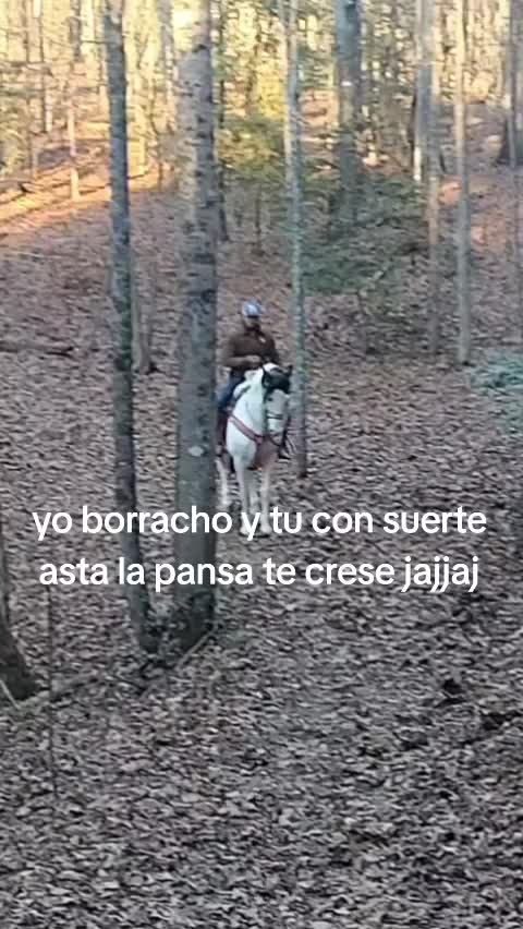 @joserefugiodiaz49
