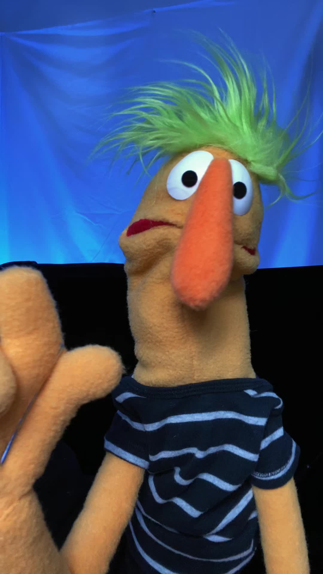 @Goodman’s Wacky Puppets