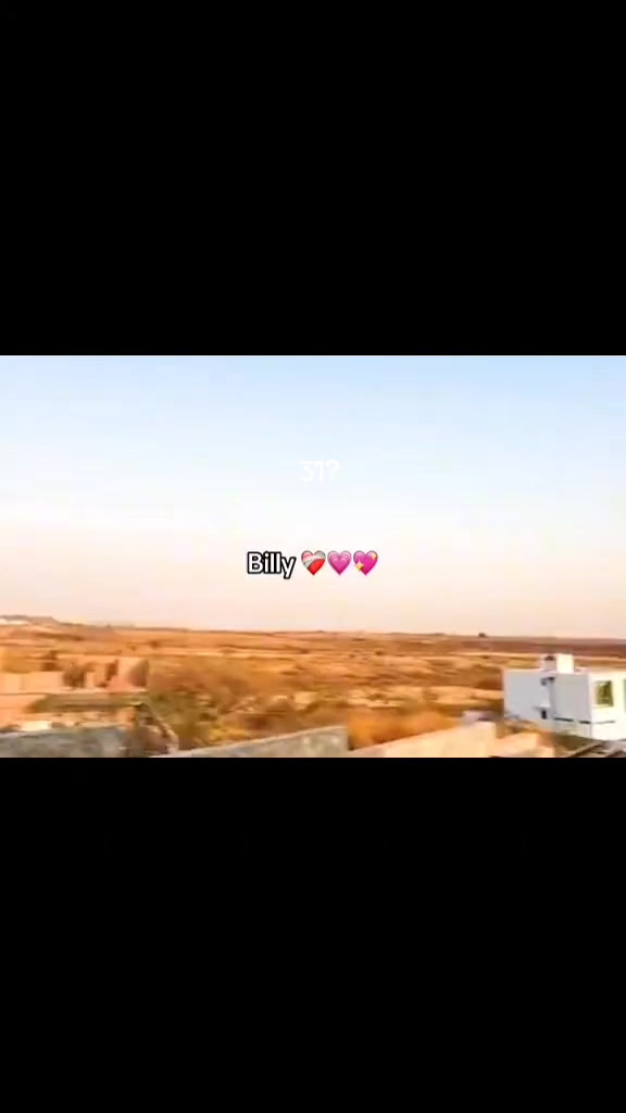 @🌳B🌳