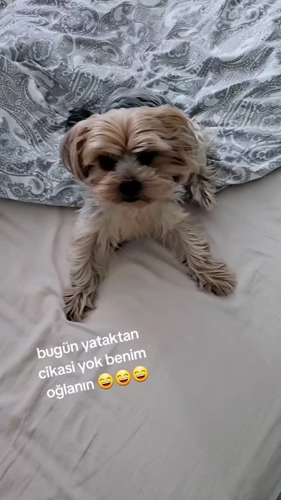 @Mali